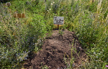 Temporary shallow graves dug by Vuhledar residents to bury the deceased, killed by Russian shelling, until they can be given a proper funeral.