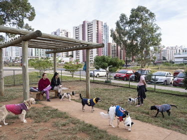 A dog walking zone in Aguas Claras, an upscale district of Brasilia, characterised by gated high-rise residential buildings.