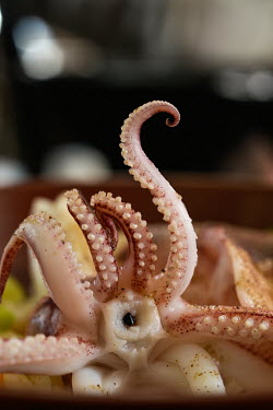 A restaurant dish featuring boiled squid.