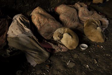 Drug users sleep, along with pet dogs, beneath a bridge in western Kabul where large numbers of addicts gather.The world's number one producer of opium, Afghanistan is the centre of the opium trade an...