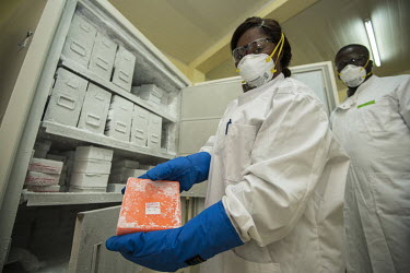 A scientist with frozen samples collected from bats as part of USAID Predict project looking for new viruses in the wild animal population.