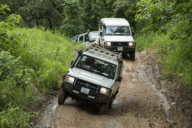 Scientists on an expedition collecting bats and other wild animals negotiate an unpaved muddy road during an expedition part of an USAID Predict project looking for new viruses in the wild animal popu...