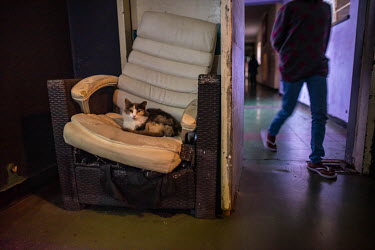 A cat sits on a broken chair in a communal area of Cissie Gool House, an abandoned former hospital that now houses over 1,000 people in the Woodstock neighbourhood of Cape Town.Since 2017, the Reclaim...