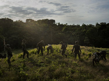 Soldiers destroying a plantation of coca crops. Homemade landmines are often placed among the crops to protect them.