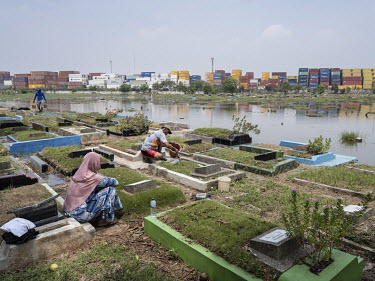 A couple maintain a grave at the flooded TPU Semper cemetery in the port area of northern Jakarta.Jakarta, situated in a delta of 13 rivers with 40 percent of land below sea level, faces an urban floo...