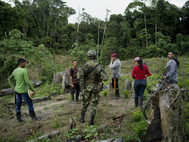 As soldiers are destroying a plantation of coca-crops and the Local farmers confront members of the military who are conducting a search and destroy mission on a plantation of coca plants. The farmers...