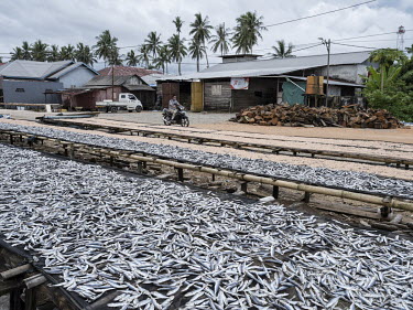 Fish is drying in Manggar, a subdistrict of Balikpapan and home to a fishing community. Balikpapan is one of the gateways to the new Indonesian capital, Nusantara, that will be built in the near futur...