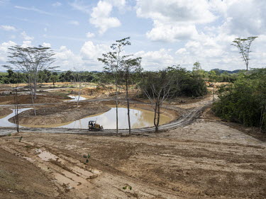 The construction site of a nursery where trees will be grown for the new Indonesian capital Nusantara.In 2019, President Widodo announced the plan to move the Indonesian capital from Jakarta, plagued...
