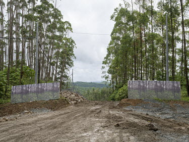 The construction site for a new road near Titik Nol, or Ground Zero, the spot where the centre of the new Indonesian capital, Nusantara, will be built.In 2019, President Widodo announced the plan to m...