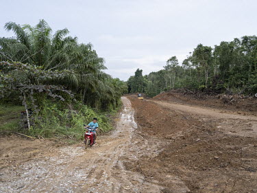 The construction site for a road in the area where the new Indonesian capital Nusantara will be built.In 2019, President Widodo announced the plan to move the Indonesian capital from Jakarta, plagued...