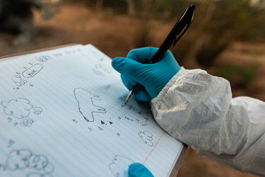 A forensics student writes notes on a sketch made of a stuffed rhino which was killed and mutilated in a nearby wildlife reserve and is now being used as part of a reconstructed poaching crime scene s...