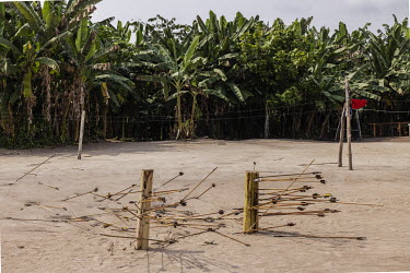 Banana palm trunks used as targets for arrows by the Waimiri-Atroari people one of the activities in Mynawa village, on the Waimiri-Atroari Indigenous Land, during a meeting to discuss issues related...