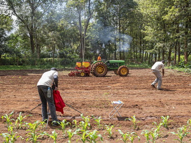 Crew film a farmer using a tractor during the filming of an episode of the TV program Shamba Shape Up, produced by The Mediae Company.Launched in 2012 by The Mediae Company, Shamba Shape Up is current...