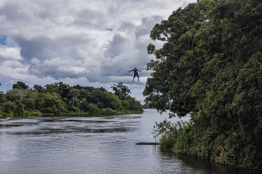 A young man jumps from trees into the Iriri River, in Laranjal village, Arara Indigenous Land. With the prospect of the paving the Transamazonica highway (BR-230), and the possible socio-environmental...