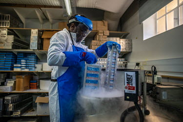 Dr. Munyaradzi Musvosvi, TB Research Officer at the South African TB Vaccine Initiative, in a storage facilty at the University of Cape Town where the blood sera of TB patients are are stored in liqui...