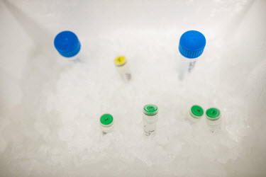 Vials are kept on ice in Afrigen's R&D lab where mRNA is formulated and purified.