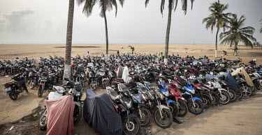 Motorcycles parked beneath palm trees. The vehicles are helping to propell Togo's economic growth, with UN data revealing that 300,000 were imported in 2020 alone.As motorcycle ownership in sub-Sahara...