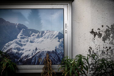 Plants dying off at the end of the summer beside a house where an iumages of a snow covered mountain is displayed in a window.