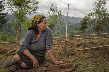 Ana Ghibus, who in the past as often travelled to work as seasonal labourer to the UK with her husband, takes a rest from gardening.High in the mountains above Poienile de sub Munte, said to be Romani...