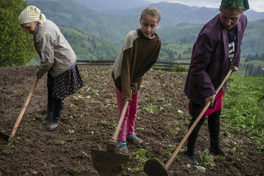 Three generations of women from the same family working in their garden.High in the mountains above Poienile de sub Munte, said to be Romania's largest village, is an unnamed community of smallholders...