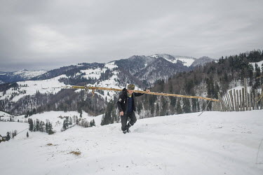 A farmer carries a pine post up a snow covered hillside.High in the mountains above Poienile de sub Munte, said to be Romania's largest village, is an unnamed community of smallholders that some callD...