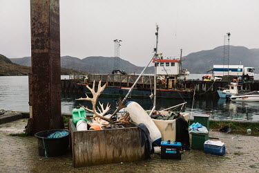 A reindeer's head and antlers protrude from a crate left on the harbour filled with buoys and other items. In the background a boat, the Viking II, used to transport sheep to the town's slaughterhouse...