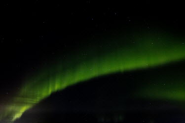 The Aurora Borealis / Northern Lights dancing across the night's sky in southern Greenland.