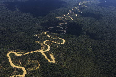 An aerial view of the Mucajai River whose milky waters indicate the presence of illegal mining within the Yanomami Indigenous Land. The Yanomami Indigenous Land was invaded by over 20,000 illegal gold...