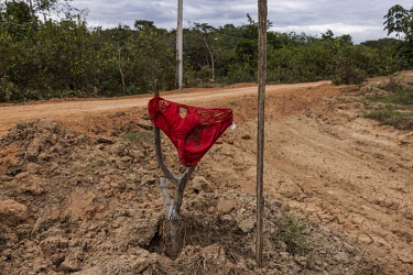 Women's red underwear left on a side road indicating the entrance to a clandestine port known as Porto da Calcinha ( 'Panties Port' ), on the banks of the Uraricoera River. The site is an important lo...