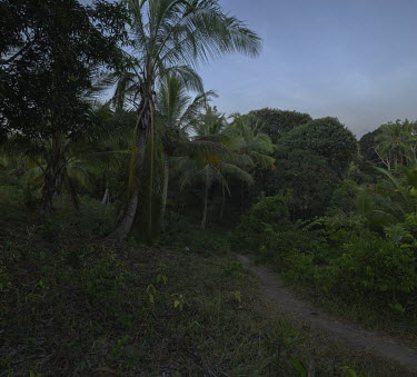 Thick vegetation where, according to local narratives, residents slept in groups for months during the major wave of collective panic that in 1995 gripped the islands after a spate of supposed violent...