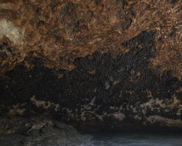 A colony of bats in a cave where, according to local beliefs, various kinds of spirits also reside. Stitched photograph