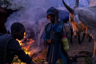 Boys tend to a fire while they look after cattle during the night at the dBenin cattle camp, Ocha Fulani camp.A 14-year-old herdsman says, ^Every day I spend my day with the herd, I am close to the an...