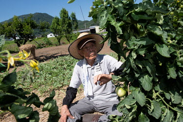 Koichi Mori (101) spends time working on his farm each day in the morning and in the evening. He cultivates watermelon, corn, tomatoes, and cucumbers, among other things. He has been a farmer for 72 y...