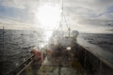 A young fisherman during a cod fishing trip in the north of the Faroe Islands.