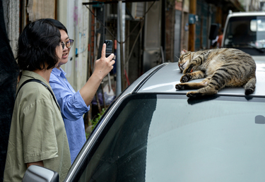 Tourists taking pictures of a cat lying on a car roof on Toucheng's Old Street.