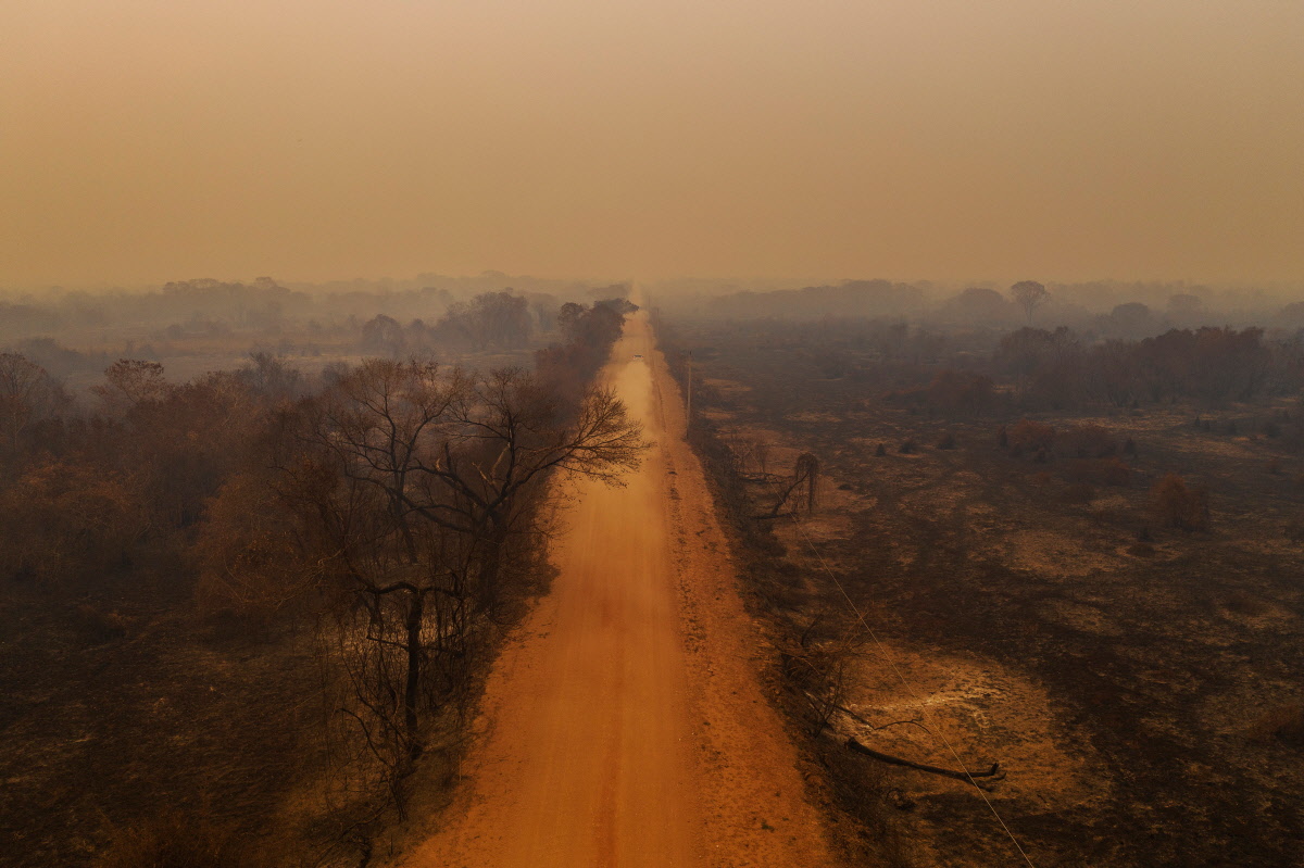 Pantanal Ablaze