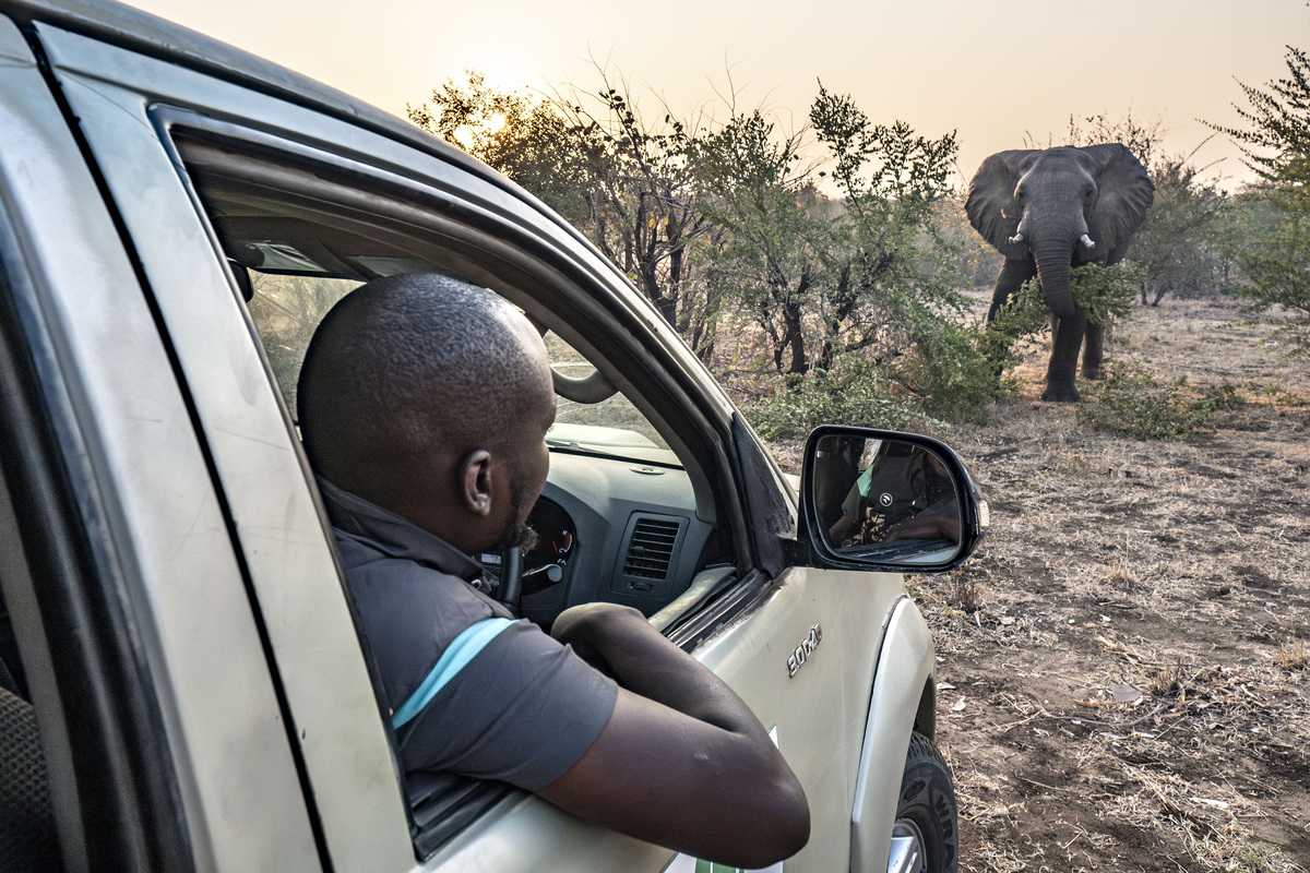 Elephant Whisperers