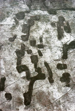 Panos Pictures - Paradise Lost