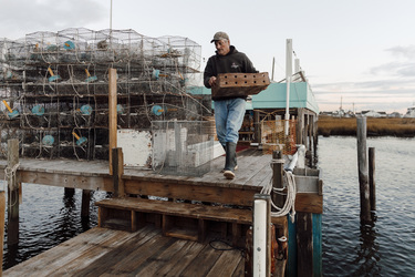 Panos Pictures - Trump Island